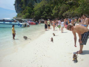 Monkey beach, Phi Phi island