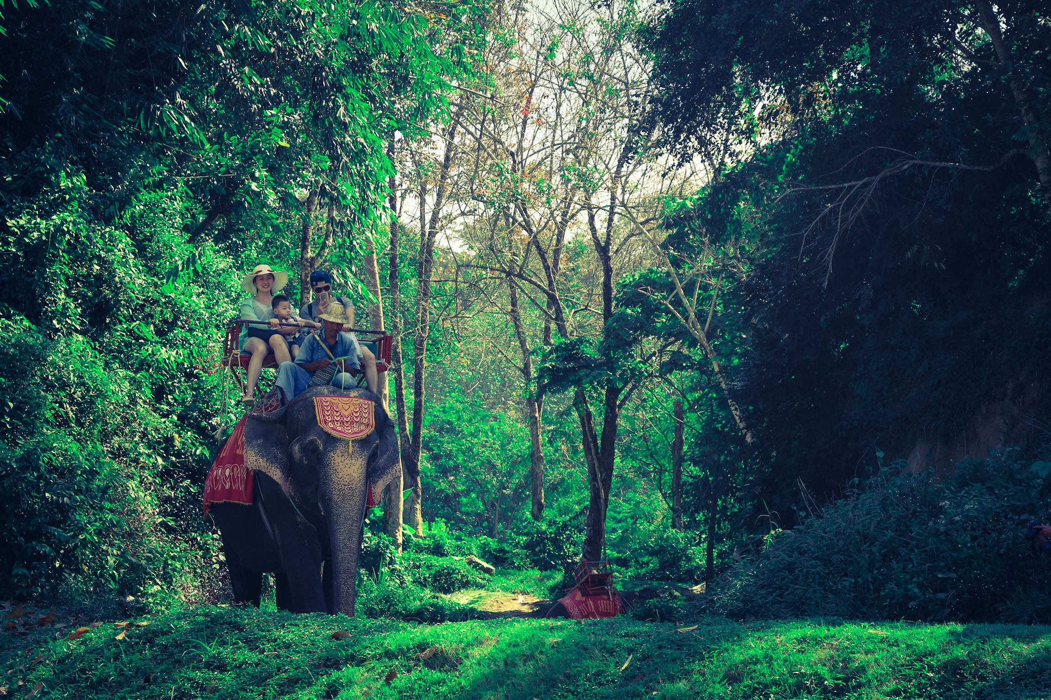 elephant riding