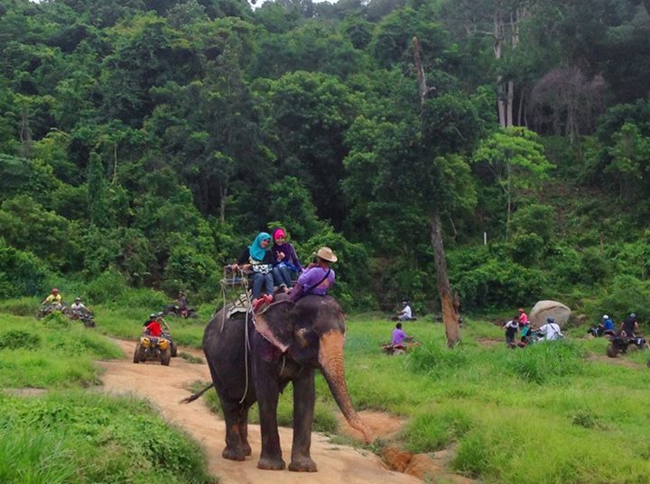 phuket elephant riding
