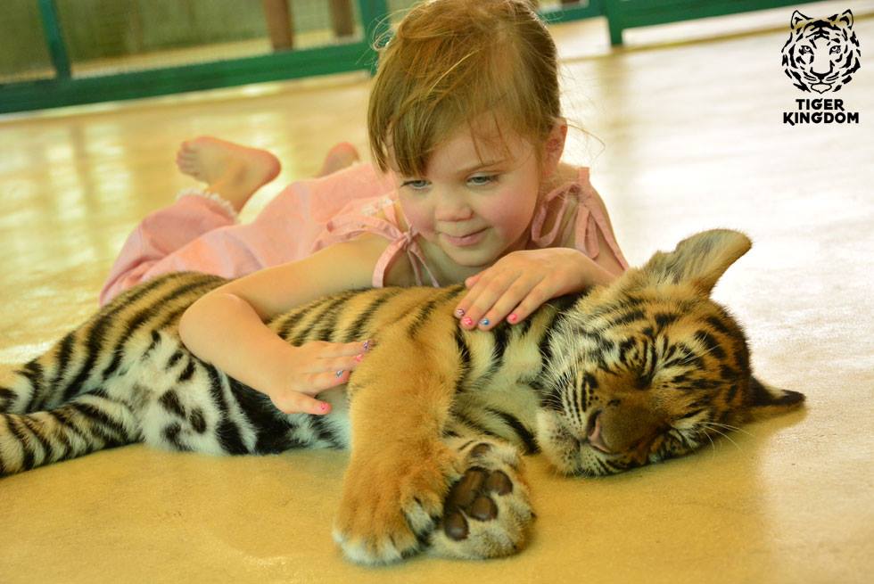 tiger park phuket