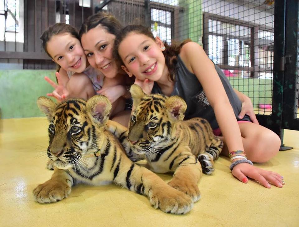 tiger park phuket