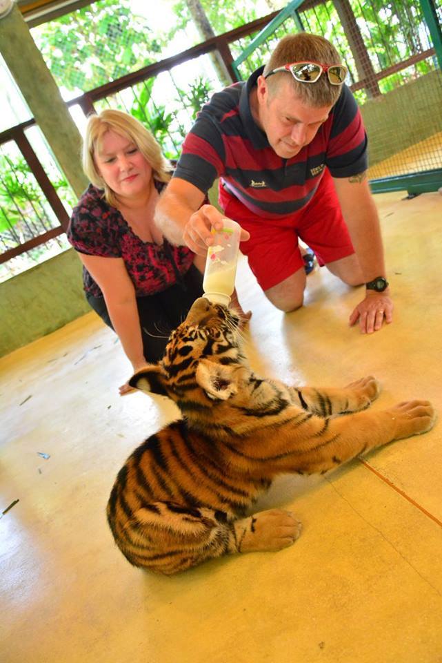 tiger park phuket