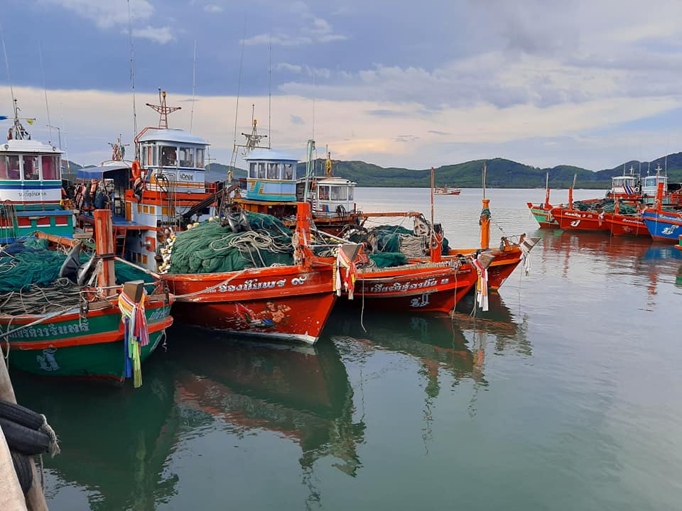 เรือปลากะตัก